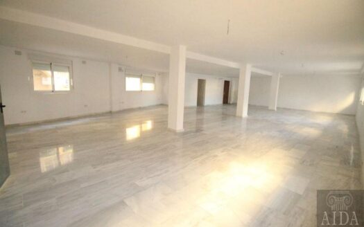 Comercial Property in Estepona